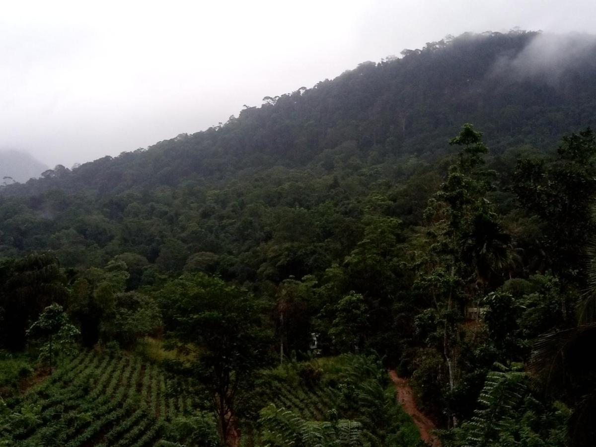 Evergreen Villa - Sinharaja Deniyaya Luaran gambar