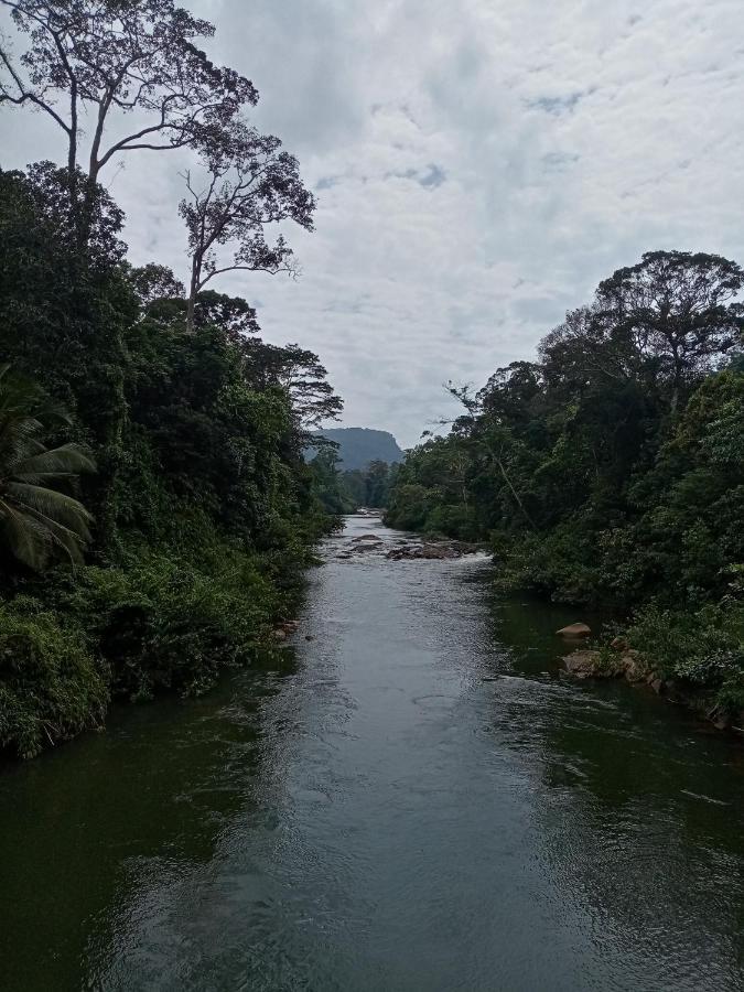 Evergreen Villa - Sinharaja Deniyaya Luaran gambar