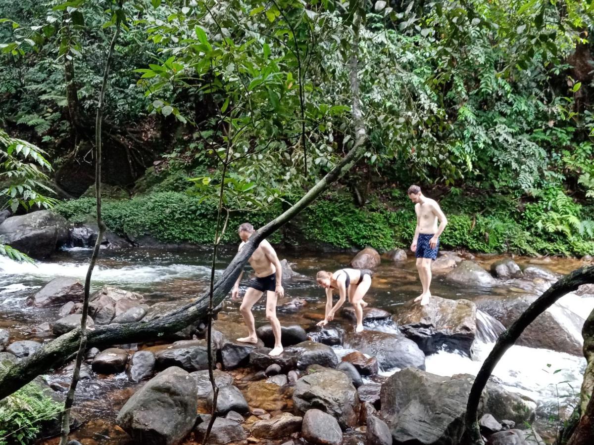 Evergreen Villa - Sinharaja Deniyaya Luaran gambar