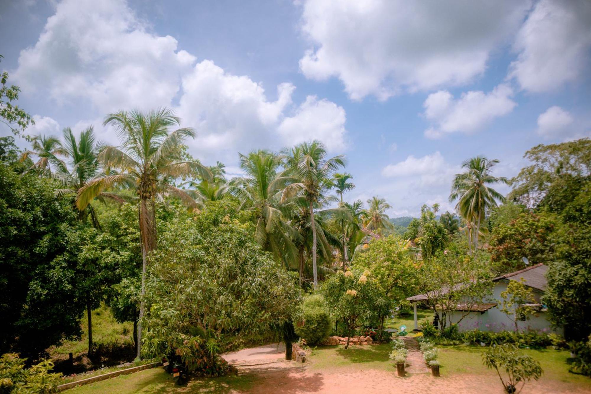 Evergreen Villa - Sinharaja Deniyaya Luaran gambar