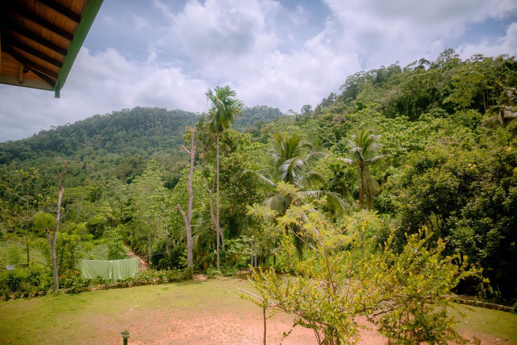 Evergreen Villa - Sinharaja Deniyaya Luaran gambar