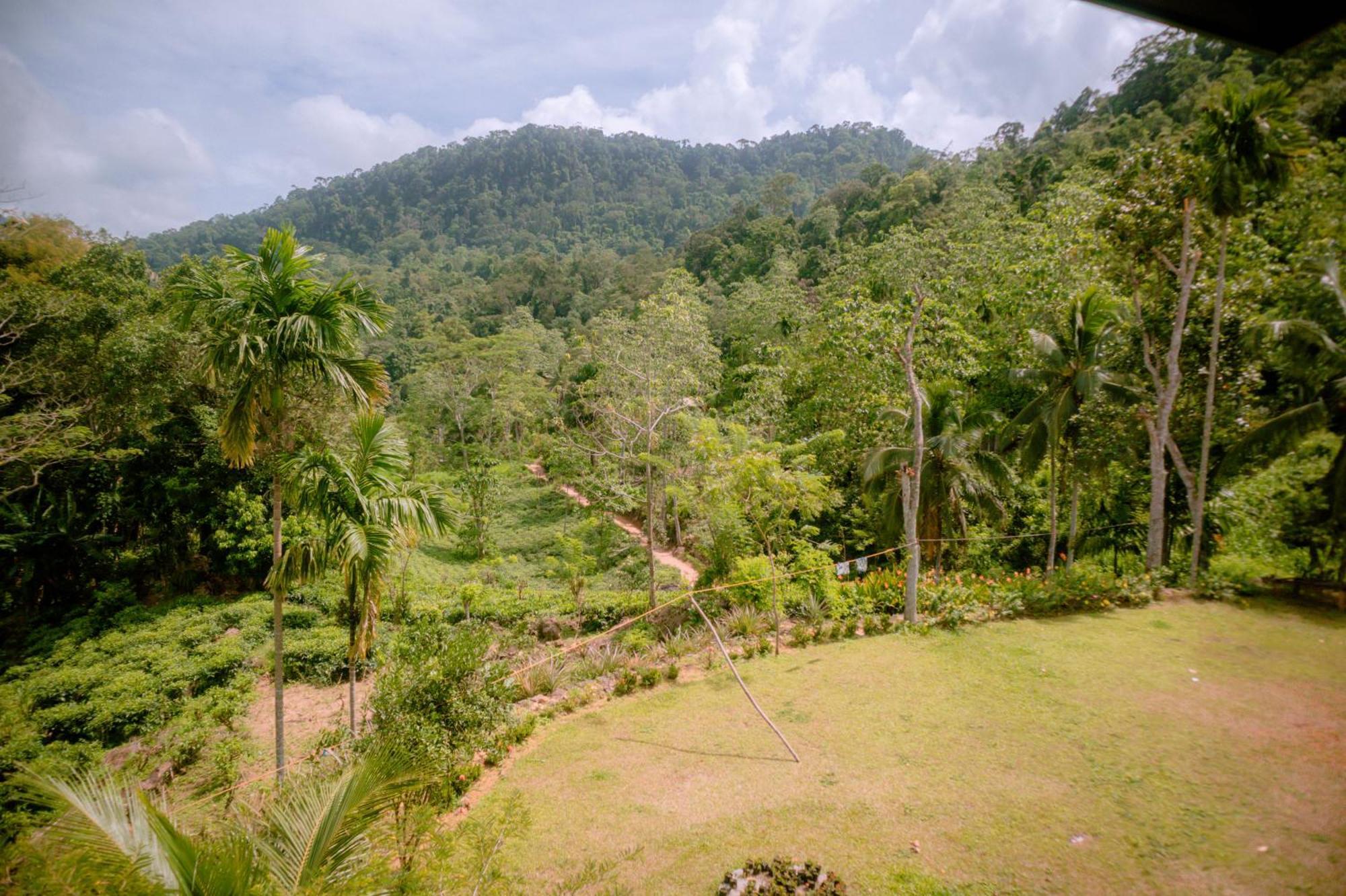 Evergreen Villa - Sinharaja Deniyaya Luaran gambar