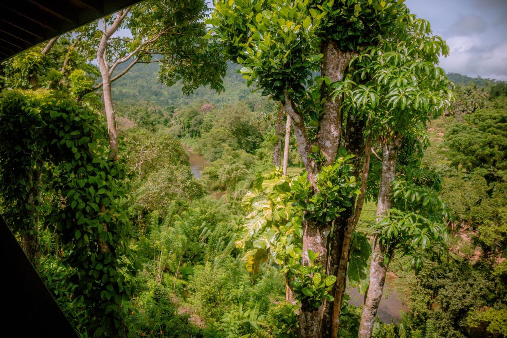 Evergreen Villa - Sinharaja Deniyaya Luaran gambar