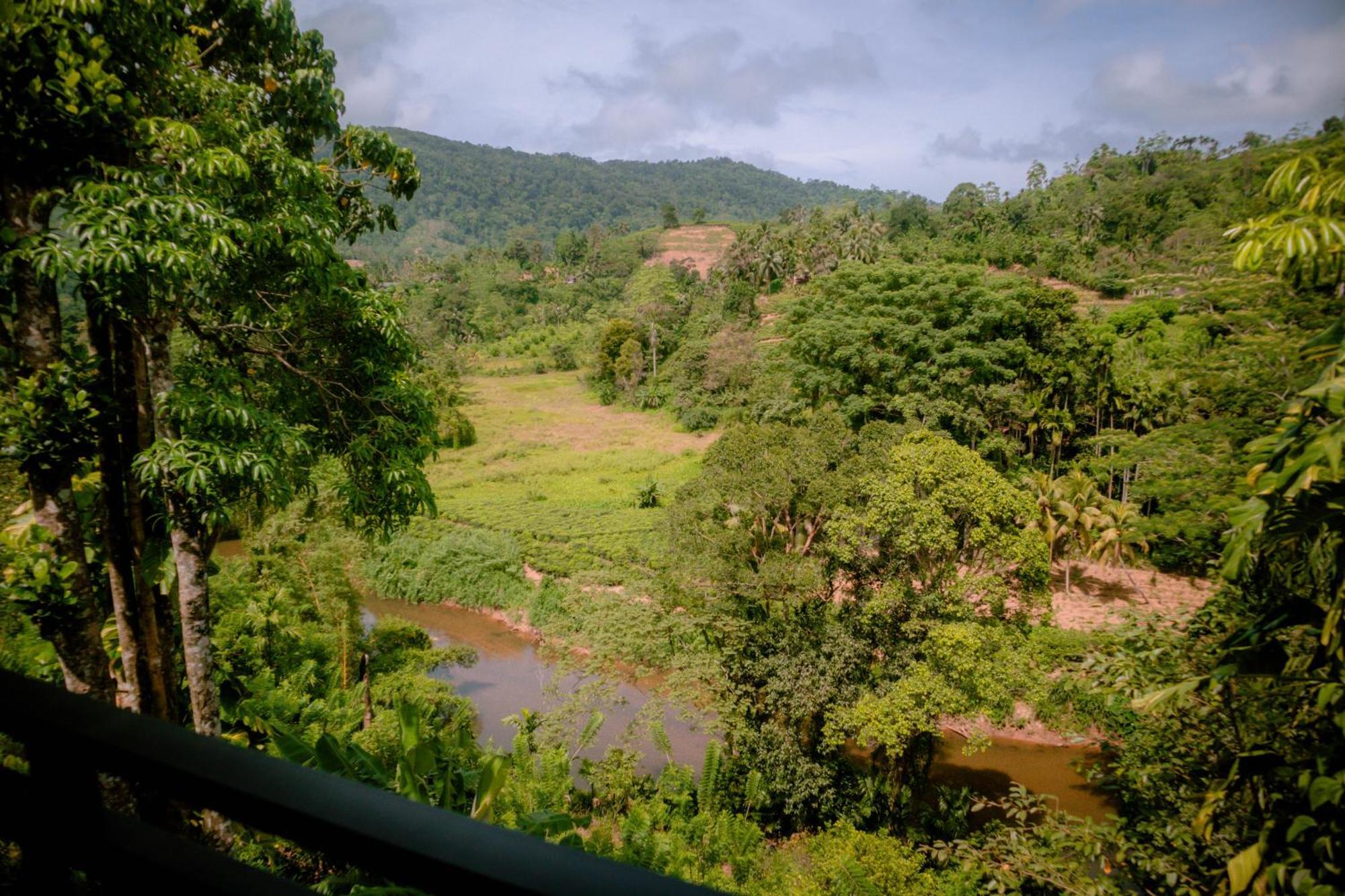 Evergreen Villa - Sinharaja Deniyaya Luaran gambar