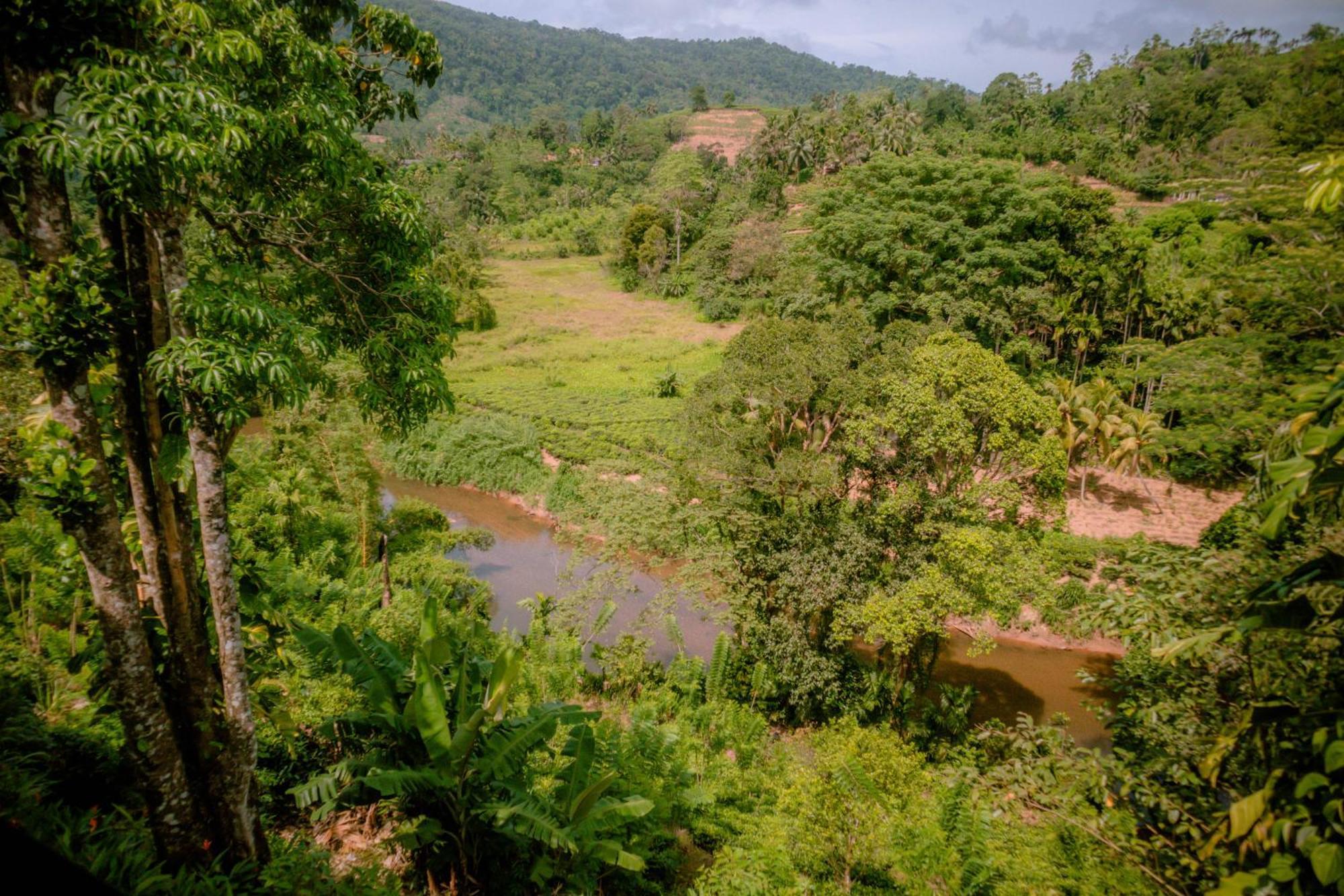 Evergreen Villa - Sinharaja Deniyaya Luaran gambar