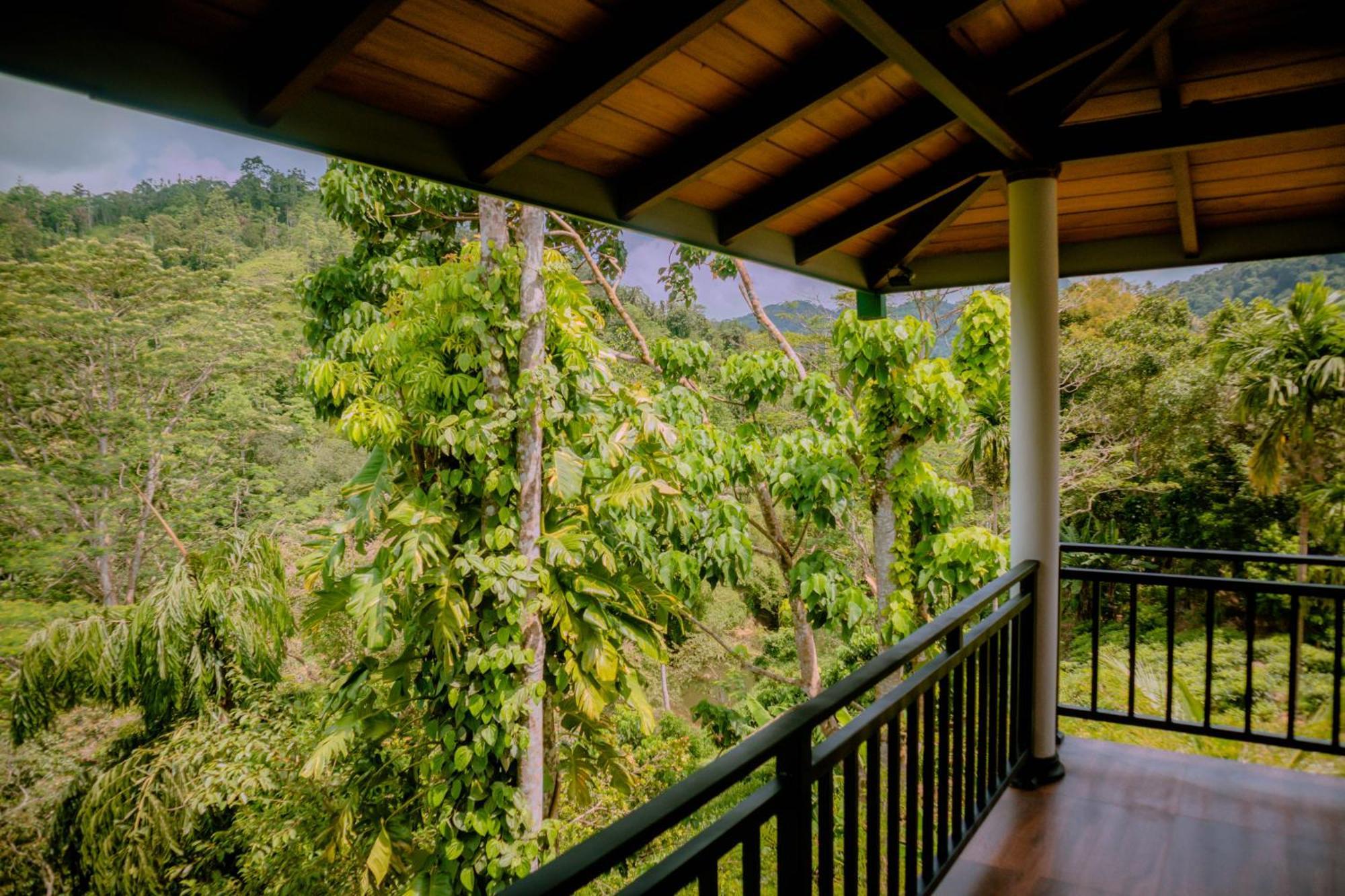 Evergreen Villa - Sinharaja Deniyaya Luaran gambar