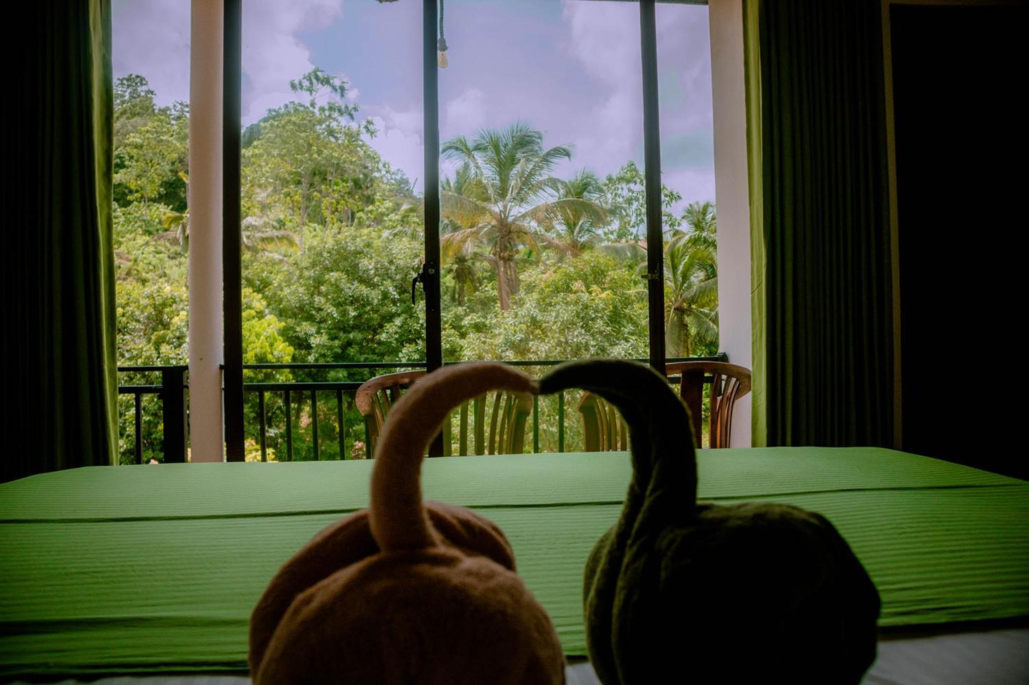 Evergreen Villa - Sinharaja Deniyaya Luaran gambar